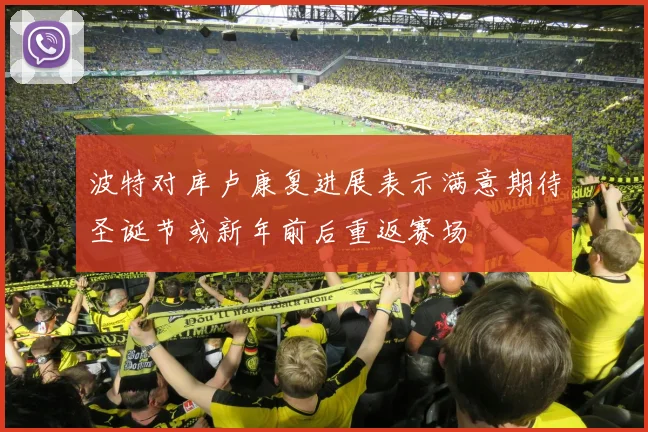 波特对库卢康复进展表示满意期待圣诞节或新年前后重返赛场