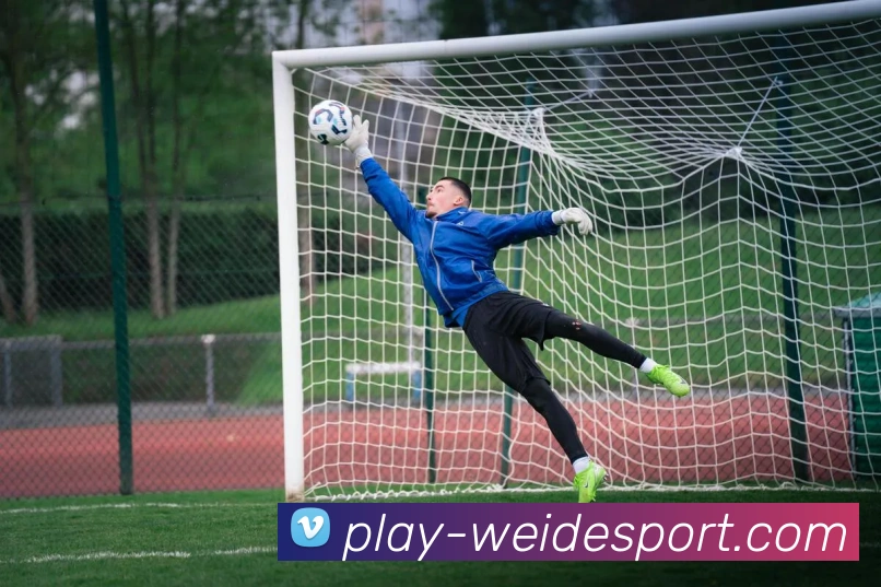 伟德体育APP 封面图